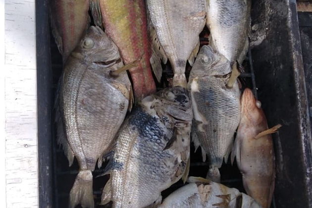 Фото экскурсии - Рыбалка в небольшой компании на катере с эхолотом - 8