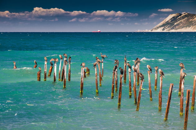 Фото экскурсии - Рыбалка в небольшой компании на катере с эхолотом - 11