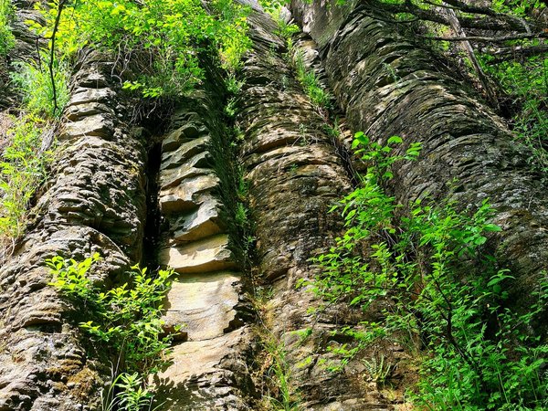 Из Хабаровска — на «Каменные водопады» - фото 4