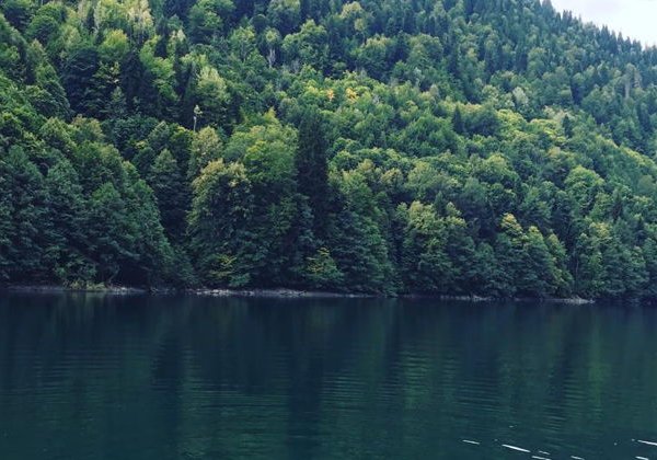 Джип-тур «Озеро Рица, Гегский и Молочный водопады» - фото 3