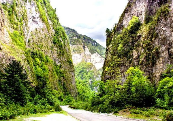 Джип-тур «Озеро Рица, Гегский и Молочный водопады» - фото 4