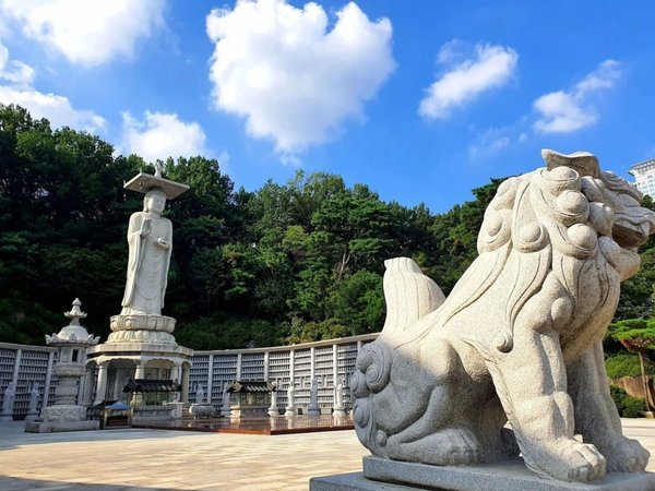 Билет в аквариум SEA LIFE COEX в Сеуле + прогулка по району Каннам с аудиогидом - фото 4