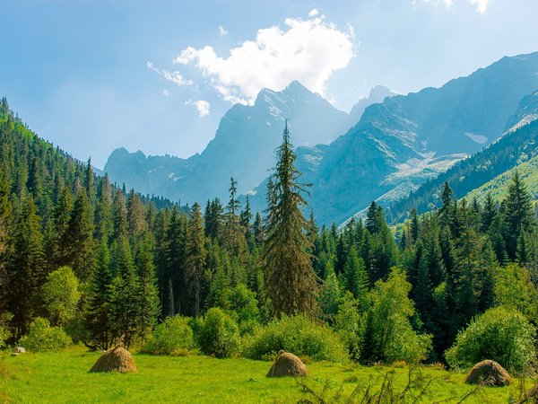 Из Кисловодска в Домбай: путешествие на джипе в группе - фото 2