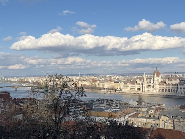Ну как не полюбить Будапешт! - фото 4