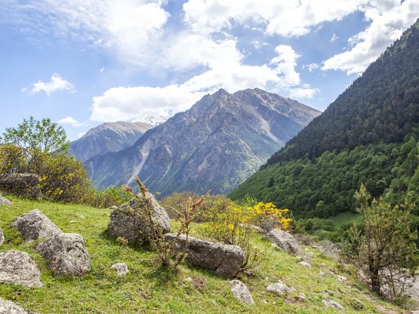 Природа и старинные селения Горной Дигории - фото 1
