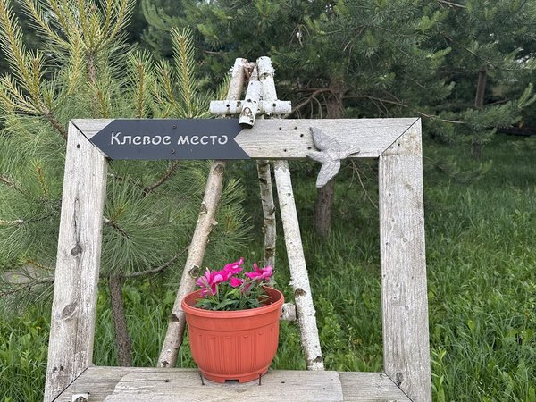 Литературная экскурсия по Козельску, Шамордино и Оптиной пустыни - фото 3