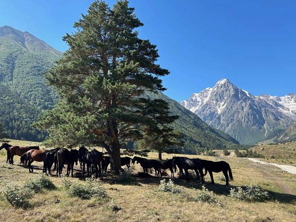 Чегем, гора Тихтенген и древние селения Кабардино-Балкарии