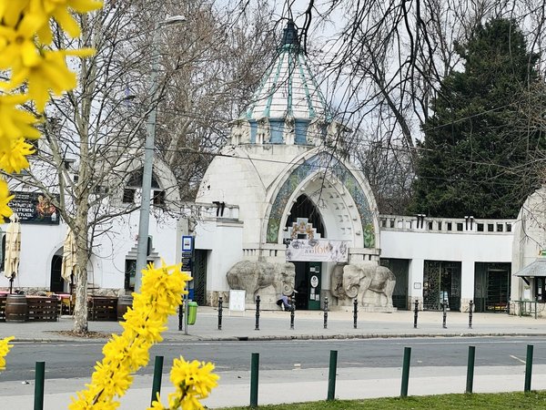 Летний Будапешт на микроавтобусе: панорамы с Цитадели, главный рынок и руин-бары - фото 4