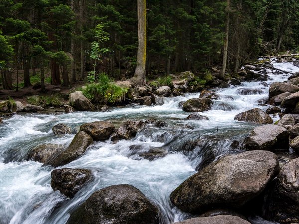 Насыщенное путешествие на Домбай в индивидуальном формате - фото 3