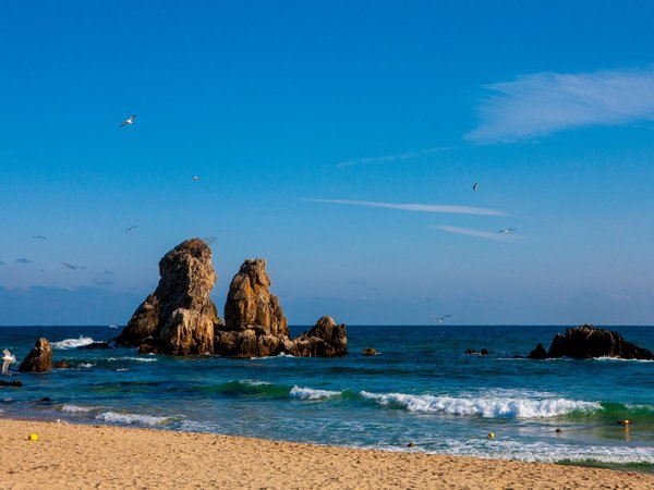 Конные прогулки в лесу или у моря в Анталье - фото 4