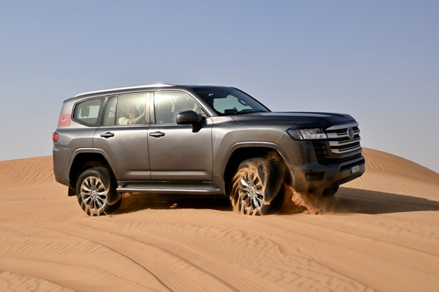 Фото - экскурсия: Из Аджмана: сафари в пустыне LahBab с VIP ужином,шоу и катанием на верблюде