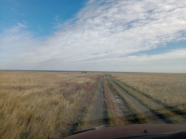 Следы на Юге: фотографии с дороги - фото 4