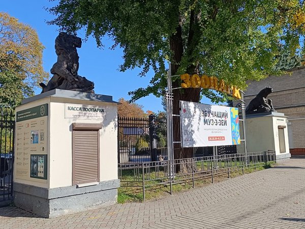 Мобильный квест в Калининграде «Новые приключения Красной Шапочки» - фото 3