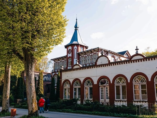 Море, котики, курорты: главное в Калининградской области - фото 3