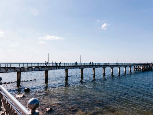 Море, котики, курорты: главное в Калининградской области - фото 4