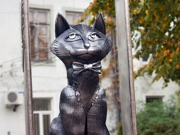 Море, котики, курорты: главное в Калининградской области - фото 2