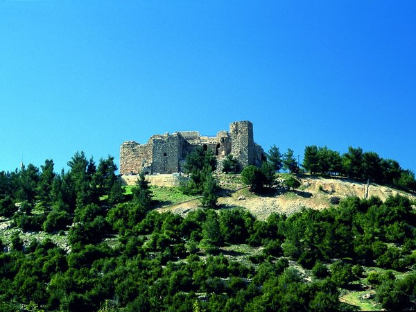 Из Аммана в город Джераш и замок Аджлун - фото 2