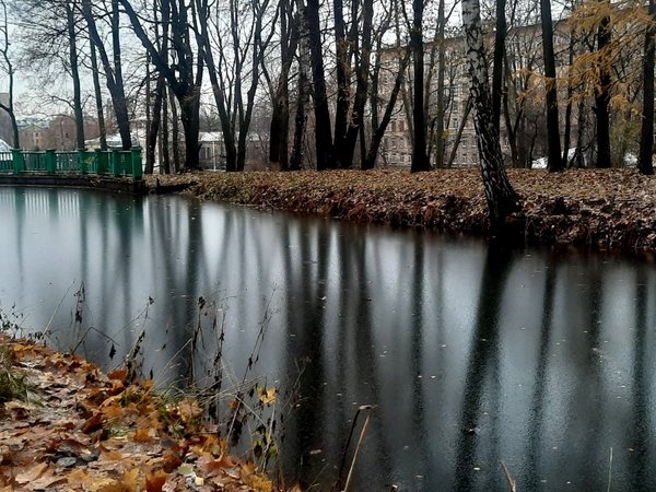 Мобильный квест в Петербурге «Бродящие души парка»