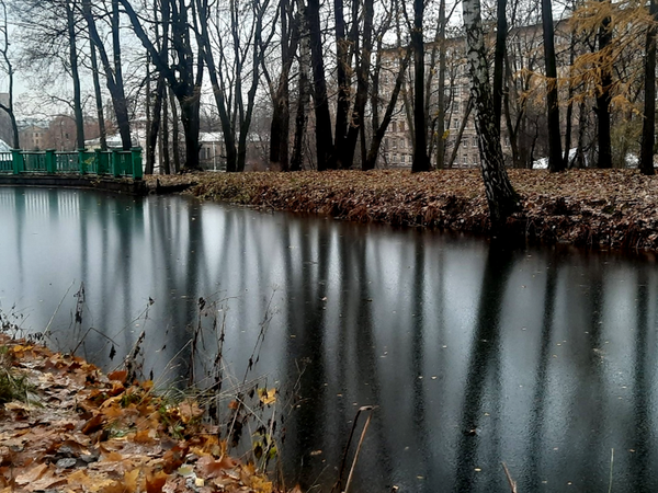 Мобильный квест в Петербурге «Бродящие души парка» - фото 1