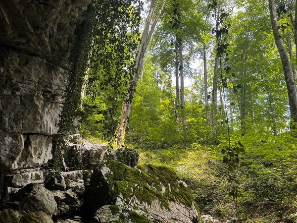 Путешествие в Хосту из Адлера и Сочи: по каньонам и подземельям - фото 4