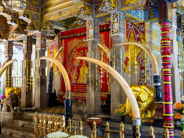 Один день в Канди - фото 4
