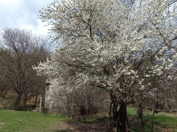 Горный треккинг к затерянным монастырям (из Дилижана) - фото 1