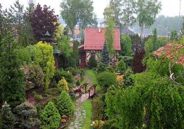 Сад Татьяны Воловик: хвойная коллекция в китайском стиле - фото 1