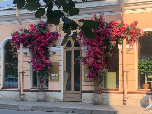Гастрономический Петербург - фото 2