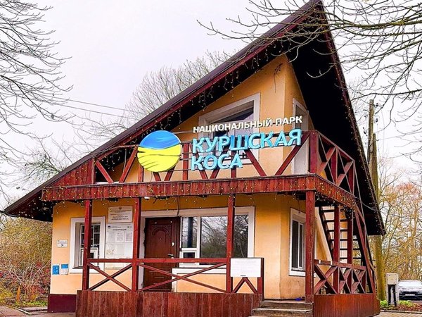 Куршская коса и Зеленоградск - фото 4