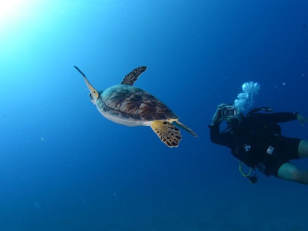 Дайвинг в Кемере: два погружения в прозрачных водах Средиземного моря - фото 3