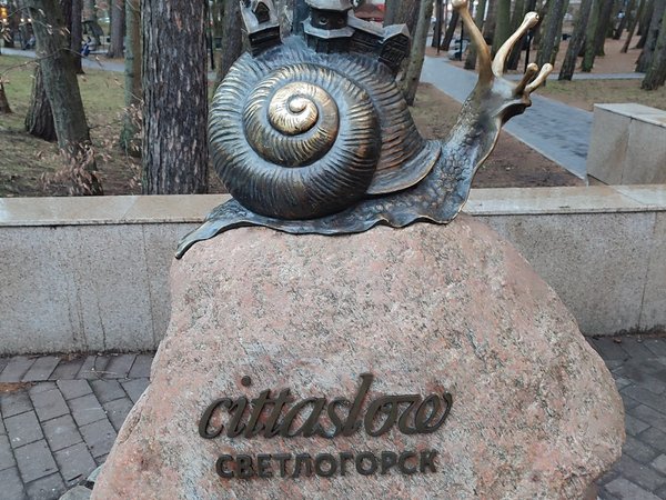 Тевтонский замок с сыроварней и курортный Светлогорск - фото 4