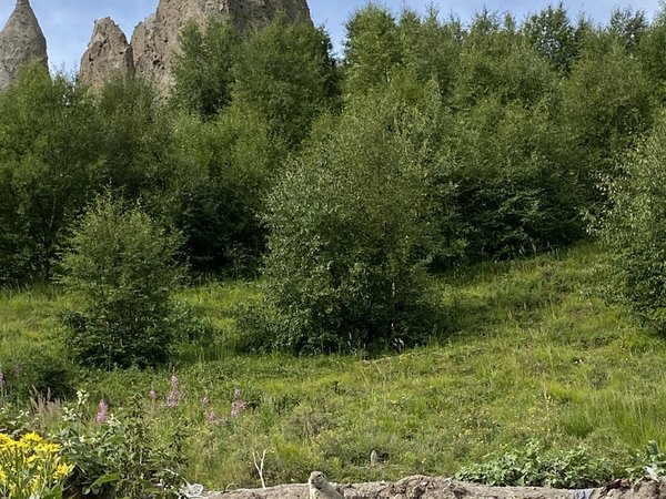 Урочище Джилы-Су: влюбиться в Кавказ за один день - фото 3