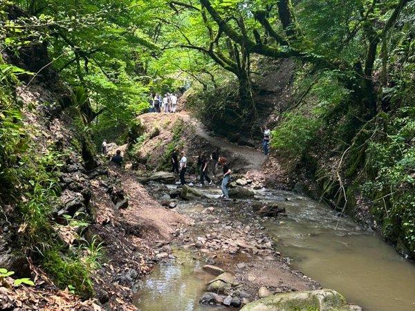 В сердце Талышских гор: внедорожное сафари к трём водопадам (из Баку) - фото 4