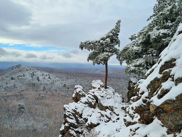Покорить сопки Хабаровска - фото 2
