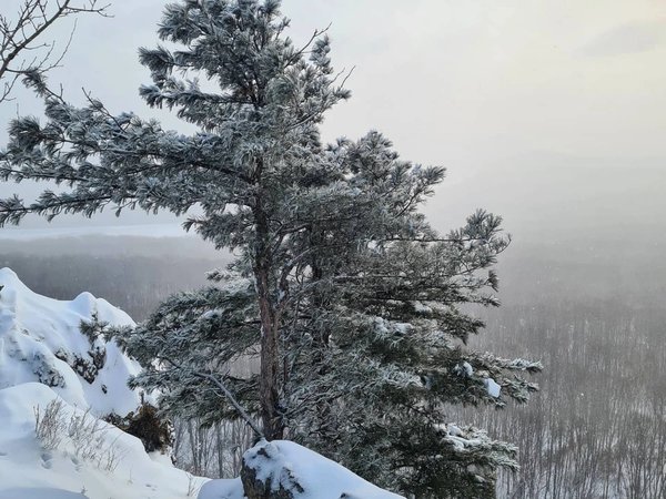 Покорить сопки Хабаровска - фото 4