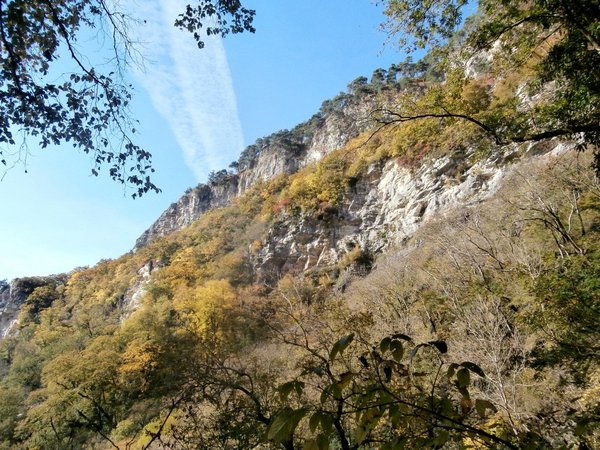 Поездка к Агурским водопадам и на гору Ахун - фото 4