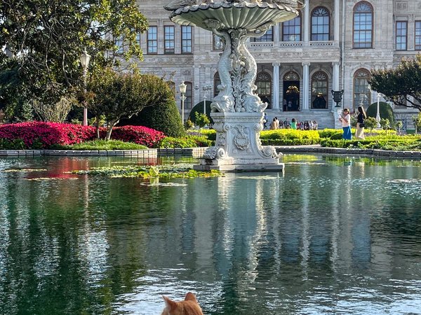Стамбул великолепный, атмосферный и живой - фото 3