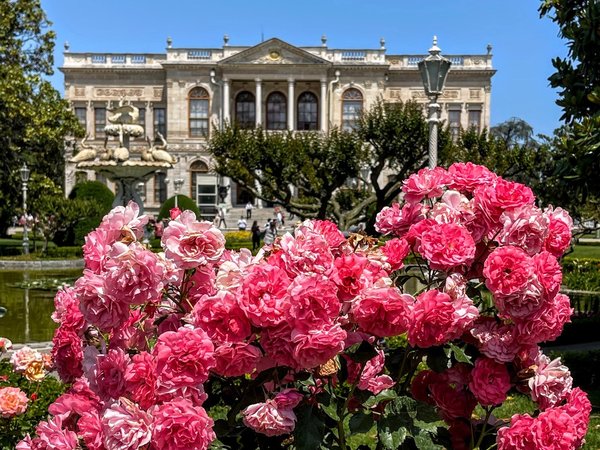 Стамбул великолепный, атмосферный и живой - фото 1