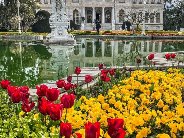 Стамбул великолепный, атмосферный и живой - фото 2