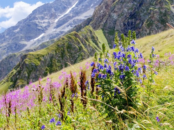 Горное путешествие в ущелье Хасаут в мини-группе - фото 2