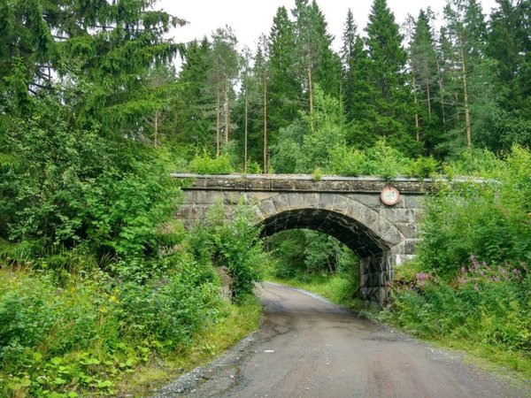Знакомство с истинной Карелией - фото 3