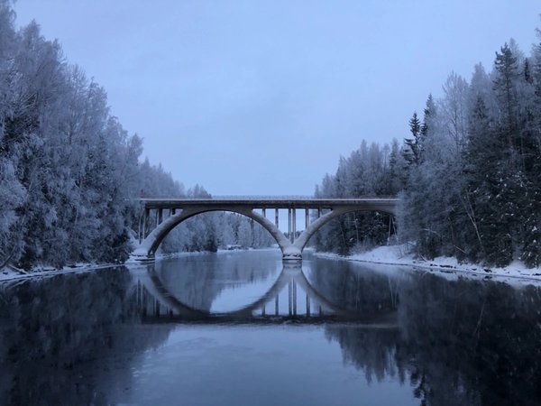 Знакомство с истинной Карелией - фото 1