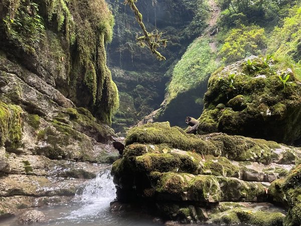 Шубарский водопад — затерянный рай вблизи Сухума - фото 4