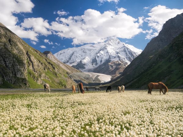 Топовые локации Кыргызстана: отдых на берегу Иссык-Куля, ночь в юрте и прогулки по каньонам - фото 2