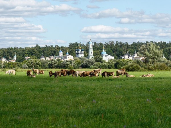 Милая сердцу Оптина — из Калуги