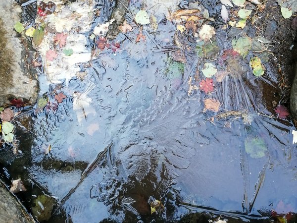 Неожиданное Приморье: из Владивостока — к водопаду, горной реке и ущелью Дарданеллы - фото 3