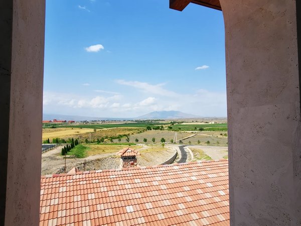 Улитки по-бургундски и вино. Да, в Армении! - фото 4