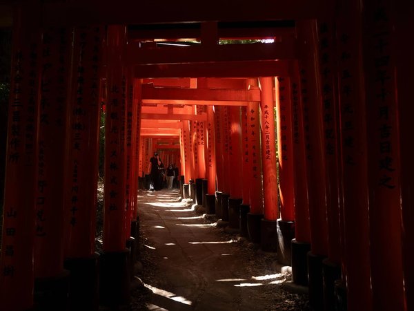 Киото для бодрых людей: подъём к Фусими-Инари и замок Нидзё - фото 3