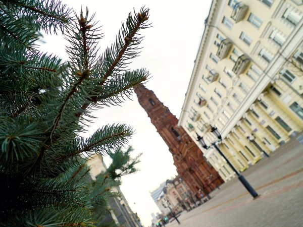 Казань глазами местного жителя: город, еда и самогон - фото 1