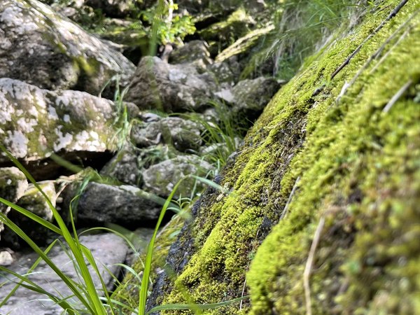 Из Уфы — к водопаду Кук-Караук, Салаватской пещере и горе Хуазе - фото 2